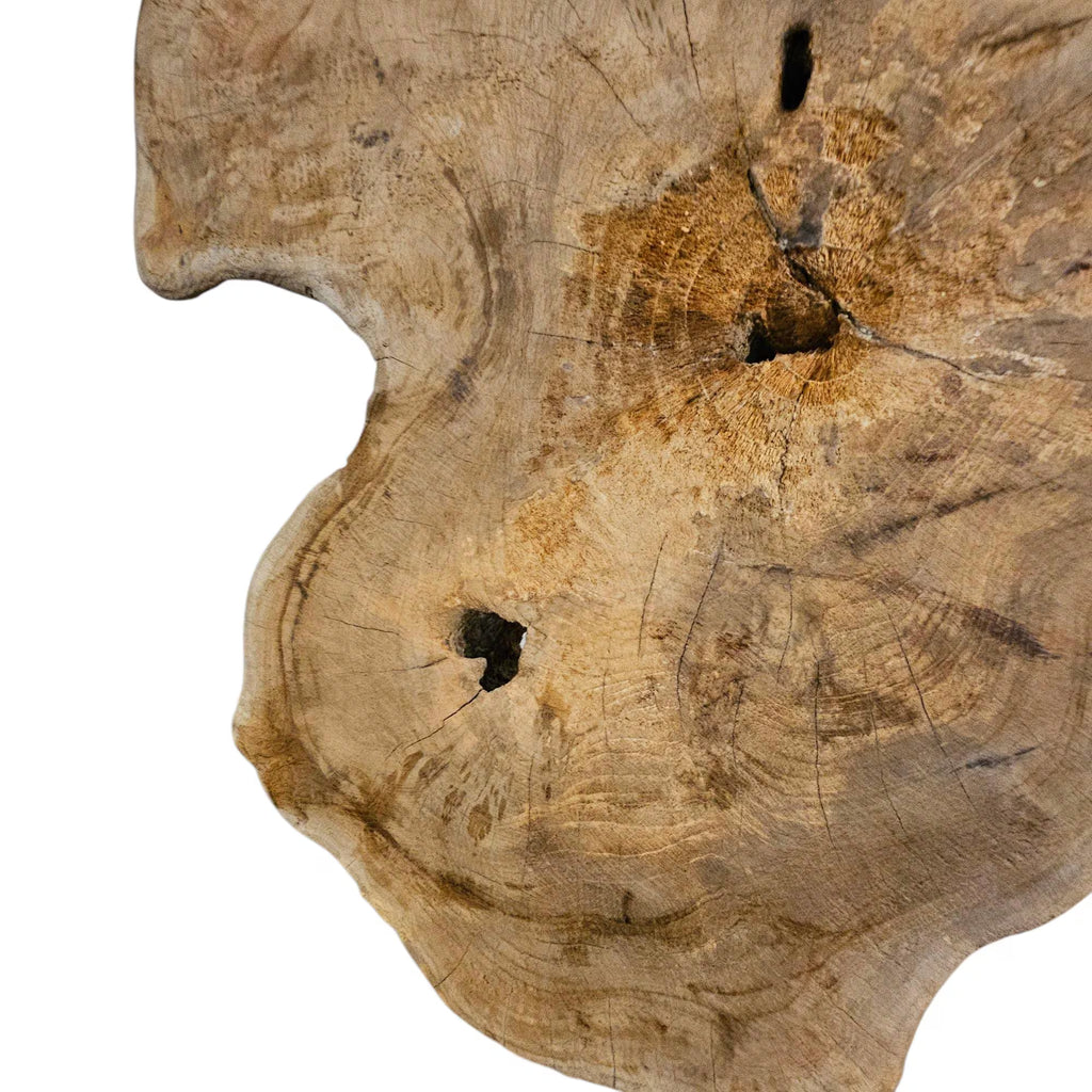 Baumscheibe Holz Deko Unikat | Natur Skulptur auf Holzsockel | Höhe 52cm | Rustikale & Skandinavische Wohn Deko | BK TrendDesign