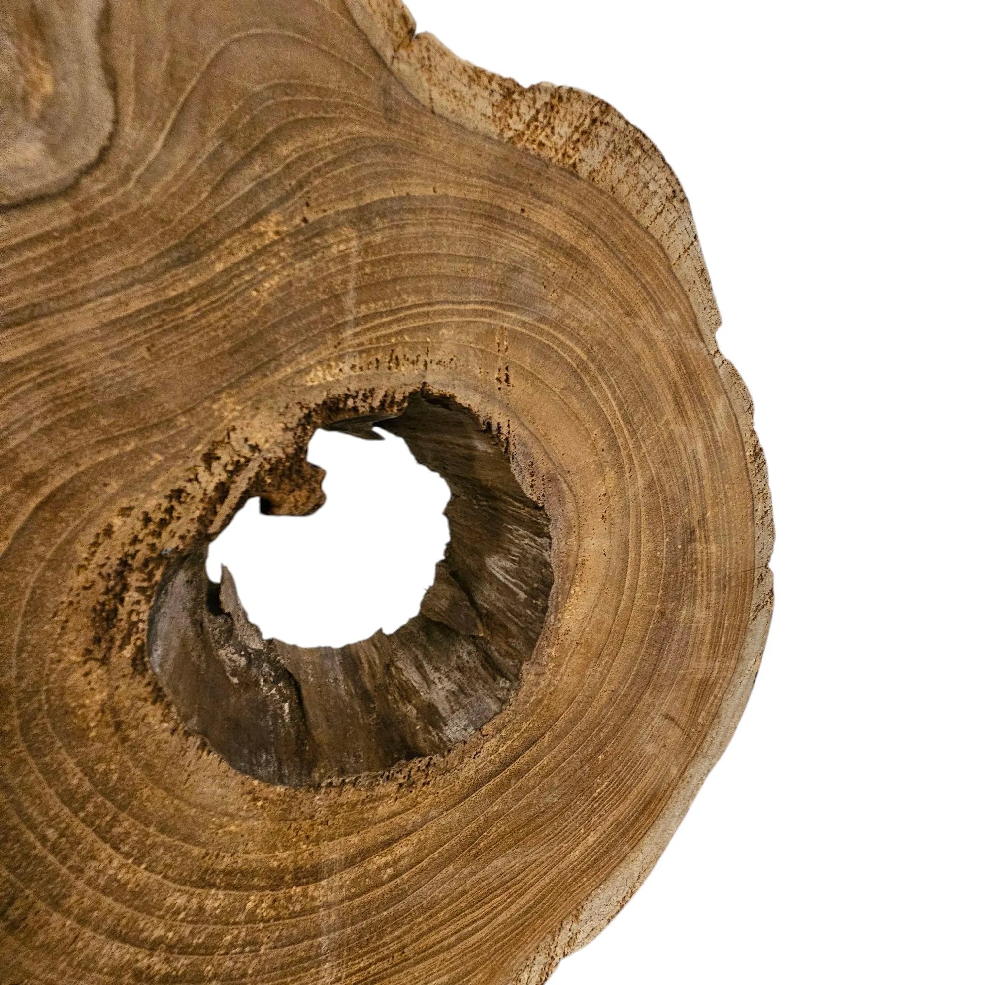 Naturholz Baumscheibe Skulptur | Holz Deko Unikat | Höhe 45cm | Rustikal & Skandinavisch | BK TrendDesign